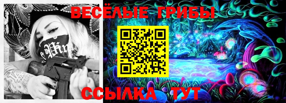 Псилоцибиновые грибы Cubensis Богданович