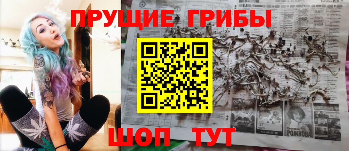 закладка  Псилоцибиновые грибы MAGIC MUSHROOMS  Вход с VPN  Богданович 